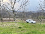 D-595 Karayolu Cepheli 6.006 m² Tarım & Yatırım Arazisi –  Acil Satılık!