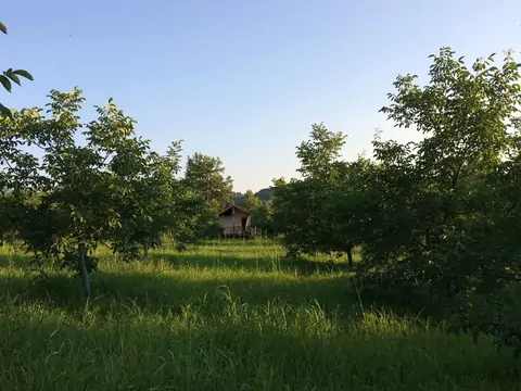 D-595 Karayolu Cepheli 6.006 m² Tarım & Yatırım Arazisi –  Acil Satılık!