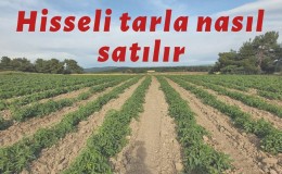 Hisseli Tarla Satışı Nasıl Yapılır? Güncel Rehber